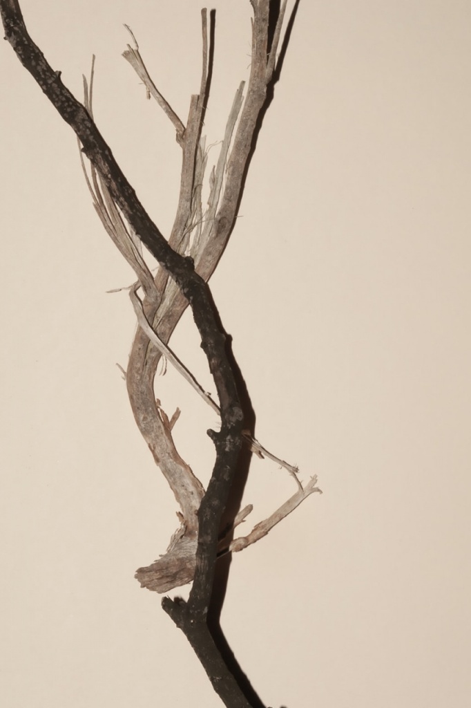 2021-11-25_LC-Nachhaltigkeitsreport-Hochformat-Viskose_1280x1280.jpg 2021-11-25_LC-Nachhaltigkeitsreport-Hochformat-Viskose_1280x1280.jpg